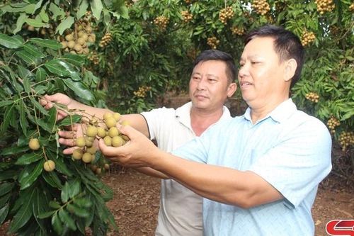 Gương mẫu trong các hoạt động ở địa phương