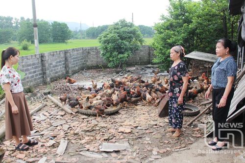 Phụ nữ Phúc Hà tiết kiệm, giúp nhau phát triển kinh tế