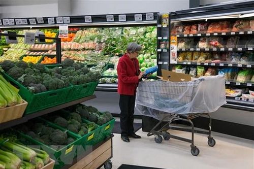 Tăng trưởng thương mại toàn cầu sẵn sàng phục hồi trong quý III