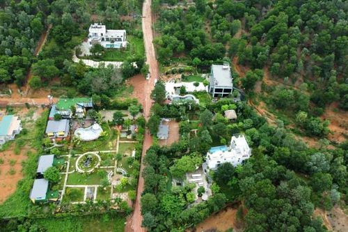 Điểm tin Môi trường ngày 25/8: Hà Nội yêu cầu xử lý nghiêm vi phạm quản lý, sử dụng đất rừng