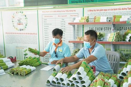 Đặc biệt quan tâm chính sách tiếp cận đất đai, tín dụng