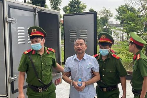Việc 'thổi giá' cây chà là, bàng lá nhỏ diễn ra như thế nào?