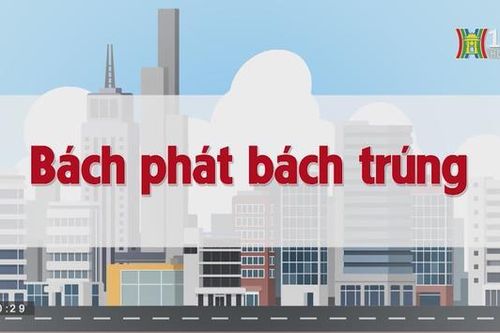 Bách phát bách trúng | Chuyện quanh ta | tập 106 | 25/08/2023