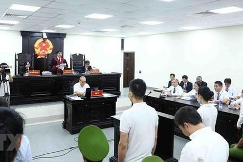 Vụ nâng khống giá cây xanh tại Hà Nội: Cách ly ông Nguyễn Đức Chung trước phần xét hỏi, lời khai của các bị cáo