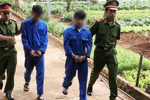 Hai thanh niên thuê xe taxi đi cắt trộm hơn 600kg quả sầu riêng