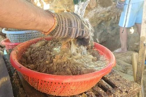 Người dân đổ xô đào đãi vàng ở Bồng Miêu