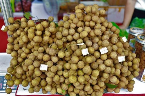 Khai mạc Tuần lễ nhãn lồng - Nông sản tiêu biểu tỉnh Hưng Yên