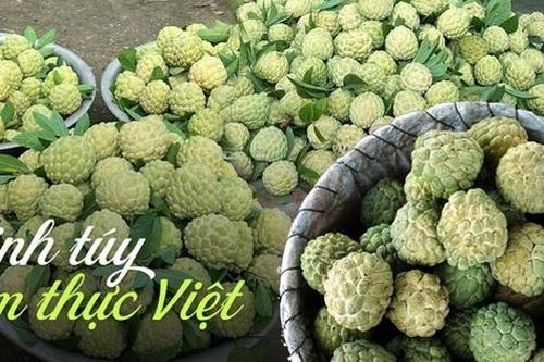 Về Võ Nhai, thưởng lãm món quà quý mà trời đất ban cho vùng đất này