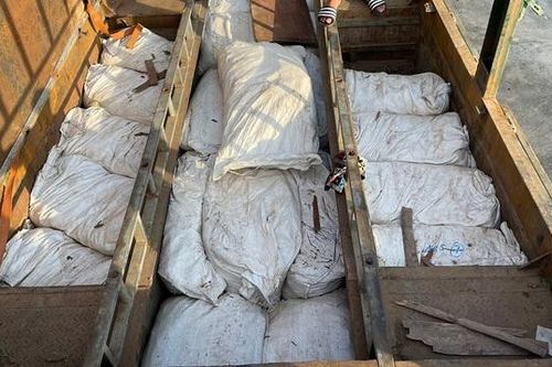 Nghệ An bắt lượng lâm sản khủng trị giá hơn 10 tỷ đồng được giấu kín trên xe