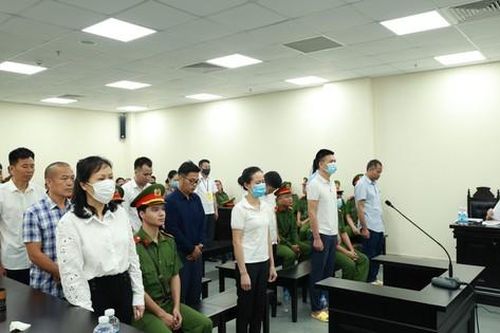 Ông Nguyễn Đức Chung cùng 14 người hầu tòa trong vụ nâng khống giá cây xanh tại Hà Nội