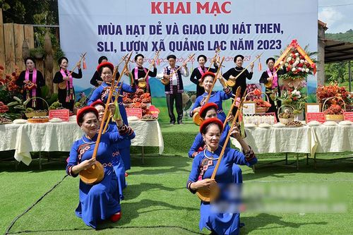 Lạng Sơn: Nâng tầm và phát triển nghề trồng hạt dẻ