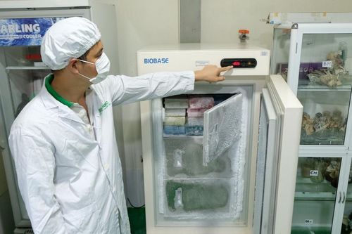 Hà Nội đơn giản hóa thủ tục hành chính thuộc lĩnh vực nông nghiệp