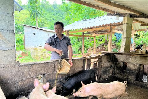 Triển khai chương trình mục tiêu quốc gia cần đảm bảo đúng mục đích, yêu cầu