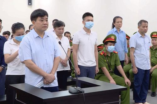 Vụ 'thổi giá' cây xanh: Các bị cáo nói lời sau cùng