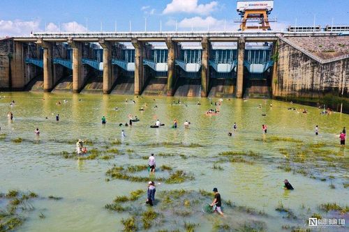 Đồng Nai: Hàng nghìn người kéo nhau săn cá 'khủng' tại hồ Trị An