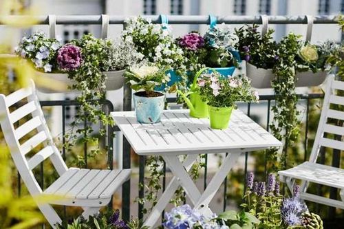 Những ban công được trang trí bằng hoa đẹp mà không quá tốn kém