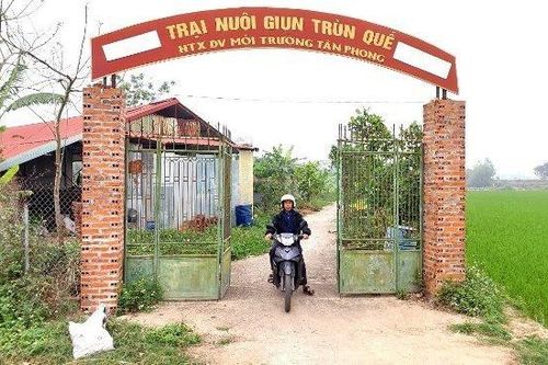Khát vọng xây dựng hệ sinh thái phi rác thải từ giun quế tại Vĩnh Phúc