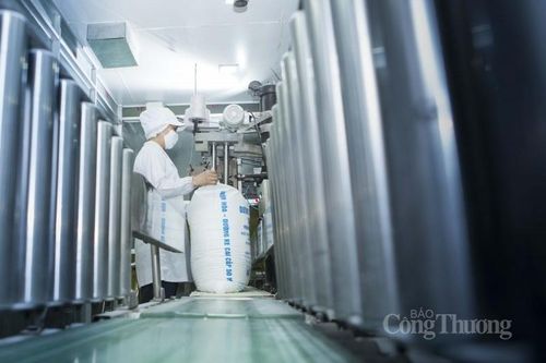 Giá đường tăng mạnh trước lo ngại Ấn Độ cấm xuất khẩu đường sau 7 năm