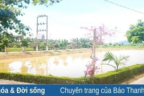 Phát huy nội lực trong XDNTM kiểu mẫu ở xã Quảng Bình