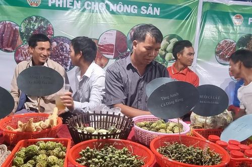 Mang Yang: Khai mạc phiên chợ nông sản lần thứ I năm 2023