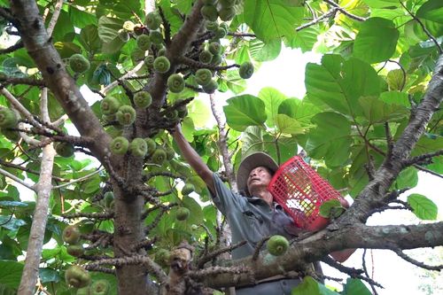 Bản tin Kinh tế ngày 26/8