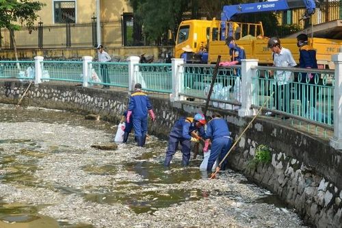 Điểm tin Môi trường ngày 26/8: Hà Nội lập đoàn kiểm tra thu gom rác thải trước 15/9