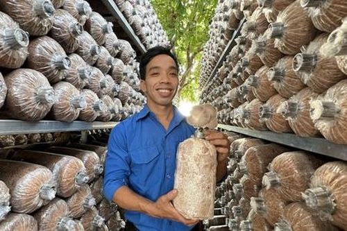 Giảm nghèo Phù Mỹ kỳ vọng vào mô hình mới của các HTX