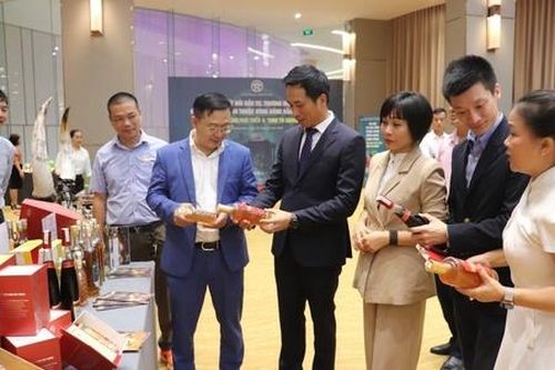 Hà Nội kết nối đầu tư, thương mại, du lịch với các tỉnh Đồng bằng Sông Hồng với tinh thần 'Link to Grow'