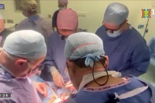 Cấy ghép tử cung - hy vọng mới cho phụ nữ hiếm muộn