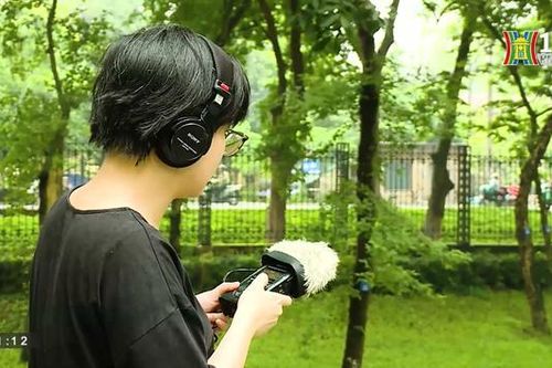 Âm thanh và tiếng ồn đô thị