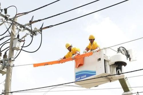 Trước mùa mưa bão, công tác đảm bảo điện được ưu tiên hàng đầu
