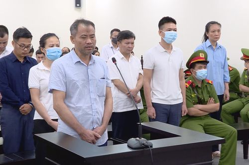 'Thổi giá' cây xanh: Nghe xong mức án đề nghị, bị cáo ngã gục