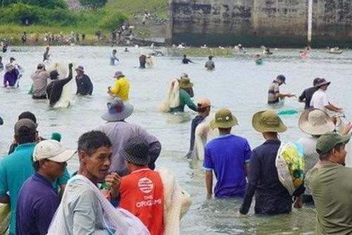 Người dân đổ xô đi bắt cá sau khi thủy điện Trị An ngừng xả tràn