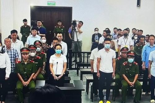 Vụ 'thổi giá' cây xanh ông Nguyễn Đức Chung bị đề nghị 2-3 năm tù