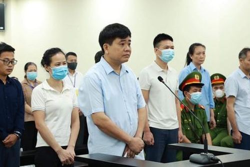 Vụ thổi giá cây xanh Nguyễn Đức Chung cho rằng ngân sách có lợi