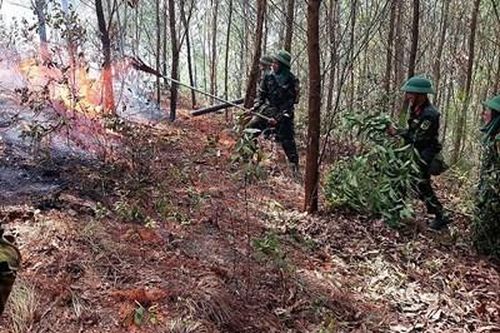 Huy động 100 cán bộ, chiến sĩ chữa cháy rừng