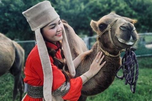 Nội Mông bên trong An Hảo Solar