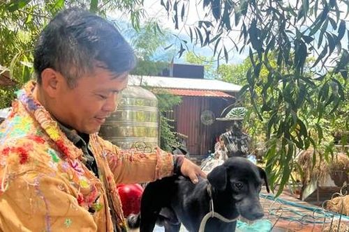 Phóng sinh sai cách là tạo nghiệp