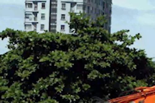 Quyết tâm thông tuyến giai đoạn 2 đường Lý Thường Kiệt (TP Vinh) trong tháng 9