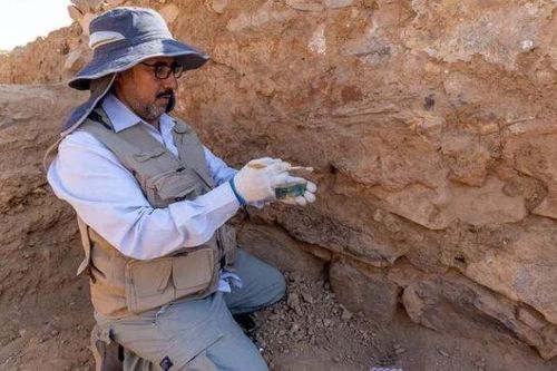 Saudi Arabia công bố những khám phá mới tại điểm khảo cổ Al-Abla