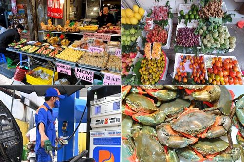 Tiêu dùng trong tuần (từ 21-27/8/2023): Nhiều hàng hóa đồng loạt tăng giá