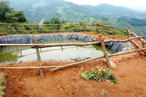 Hội LHPN tỉnh Lào Cai thăm hỏi gia đình 3 trẻ em tử vong ở đồi trồng chuối