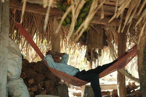 Bí quyết sống lâu ở nơi có nhiều đàn ông thọ nhất thế giới