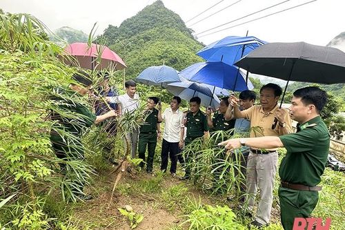 'Luồng gió mới' để Mường Lát thoát nghèo