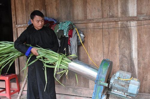 Lan tỏa phong trào nông dân sản xuất kinh doanh giỏi