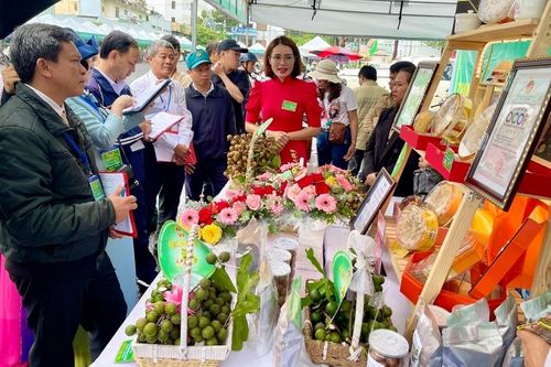 Sức bật từ phong trào nông dân thi đua sản xuất kinh doanh giỏi