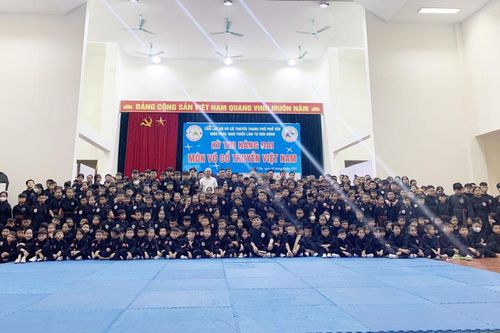 Hơn 300 thí sinh thi nâng đai võ cổ truyền