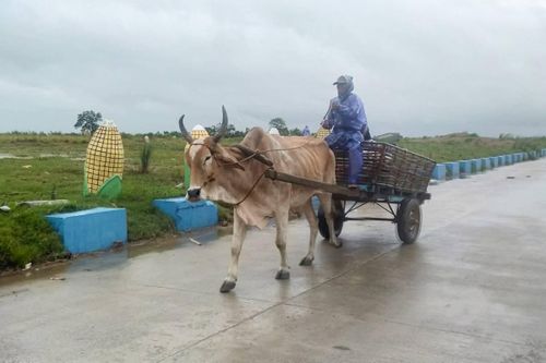 Philippines: Hàng trăm người phải sơ tán vì siêu bão Saola