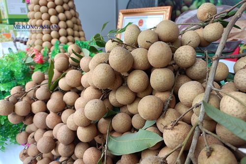Một năm mất mùa được giá của người trồng nhãn Hưng Yên