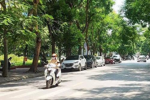 Bắc Bộ ngày nắng nóng, chiều tối và đêm nhiều vùng có mưa dông